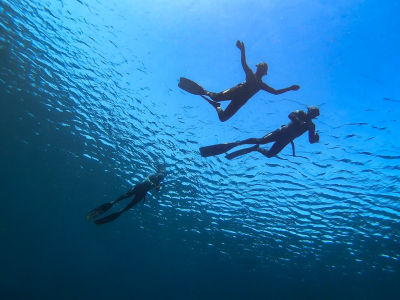 Discover Freediving in the Maldives