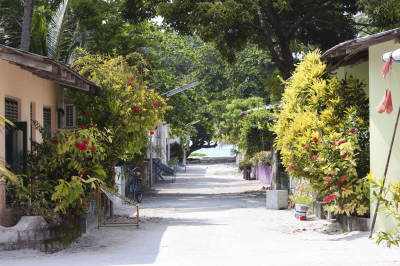 Local Island Excursions