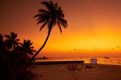 Cinema Under The Stars