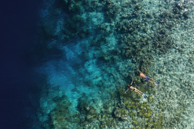 Diving & Water Sports
