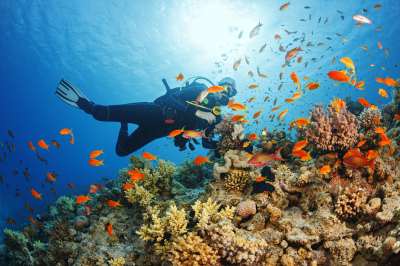  TGI Dive Center