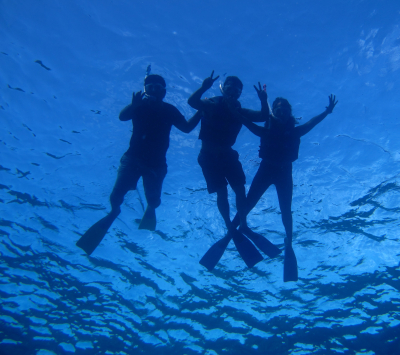 Excursions