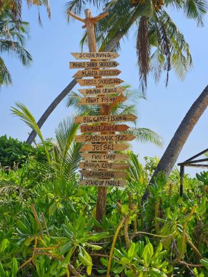 Water Sports & Adrenaline Activities