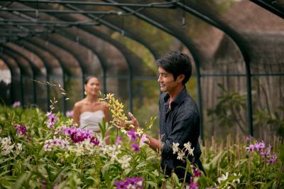 Orchid Gardeners