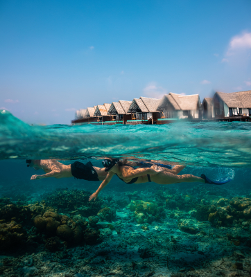 Snorkeling