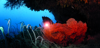 Dive Center