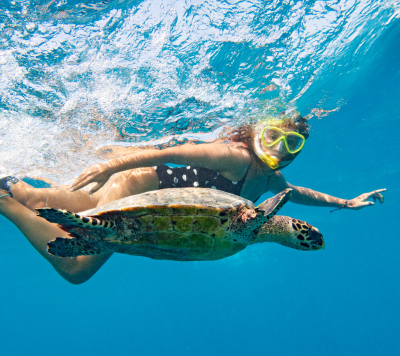 Turtle Snorkeling