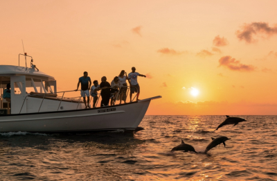 Sunset Dolphin Dhoni Cruise