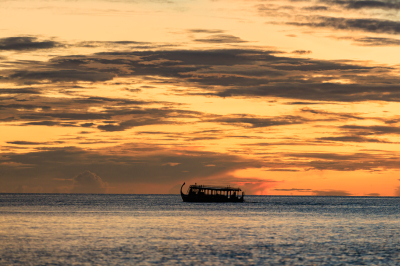 Marine Excursions