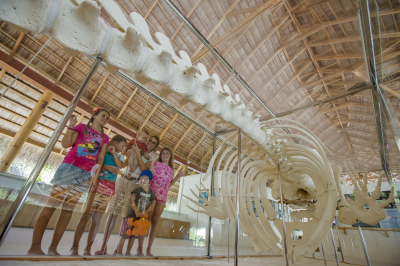 Eco Centre