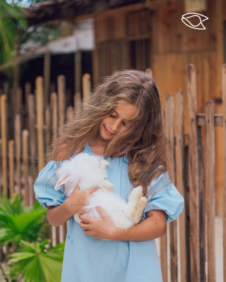 Petting Zoo