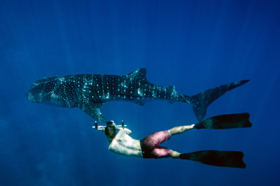 The PADI 5-Star Dive Center