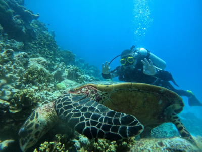 Diving