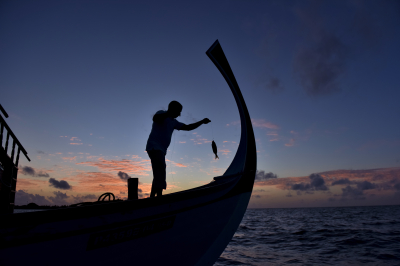 Traditional Maldives Islands Fishing