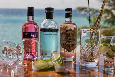 GIN IS IN